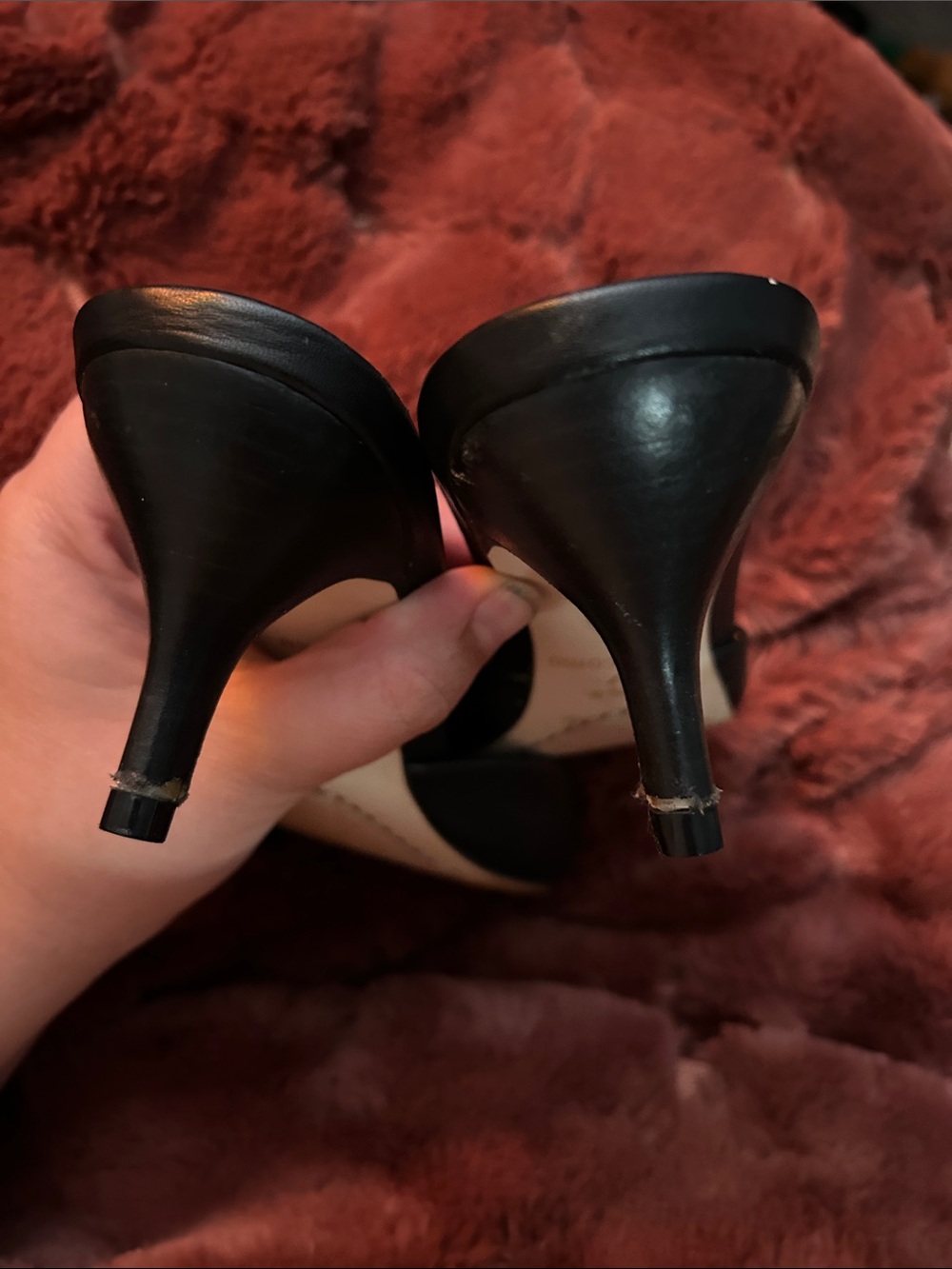 Corso Como Black Slide Mules with Tan Insole - Picture 4 of 8